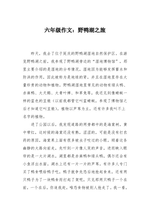 六年级作文：野鸭湖之旅