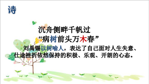 初中语文八年级上册《15大树和我们的生活》 (1)