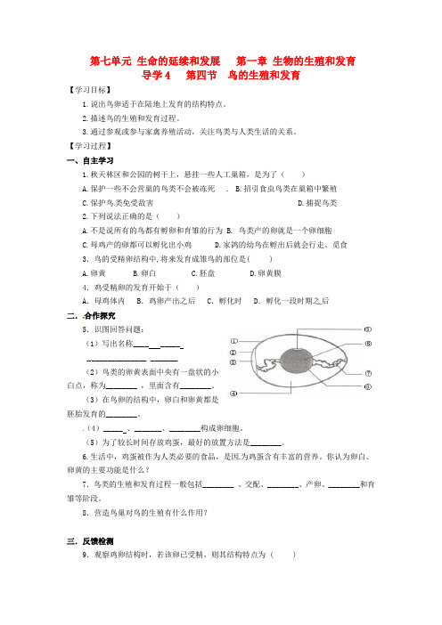 济南版生物-八年级上册-第四单元 第二章 第3节 鸟的生殖和发育同步导学案