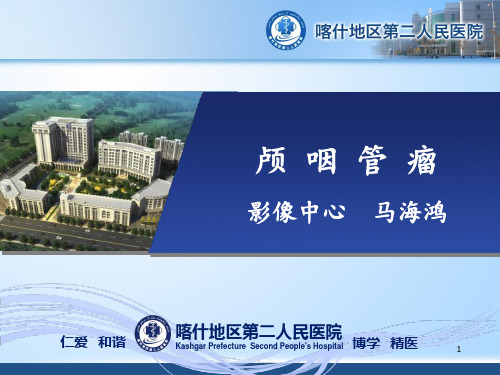 小讲课颅咽管瘤