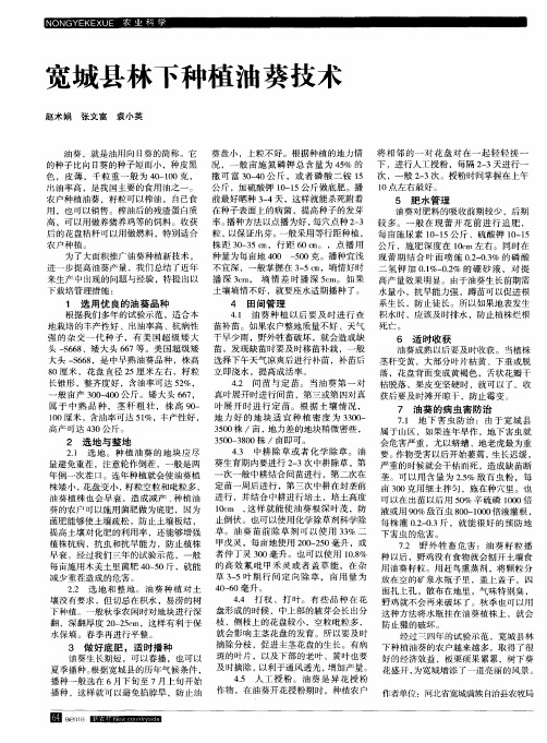 宽城县林下种植油葵技术