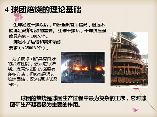 球团理论和工艺球团焙烧理论基础
