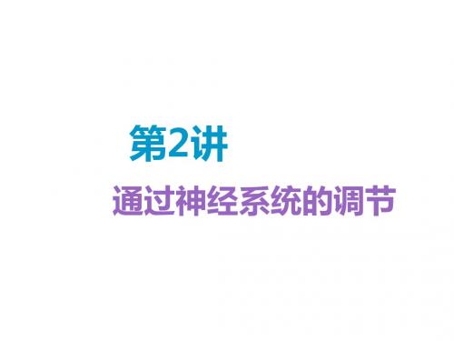 2019版高考生物精准备考一轮全国通用版课件：必修3+第一单元+第2讲 通过神经系统的调节