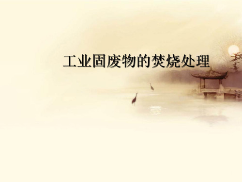 工业固废物的焚烧处理精品PPT课件