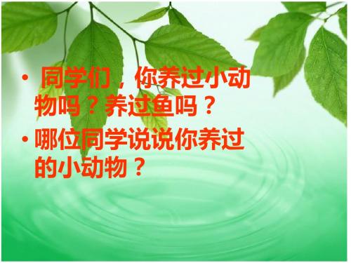 人教版二年级语文上册28、浅水洼里的小鱼