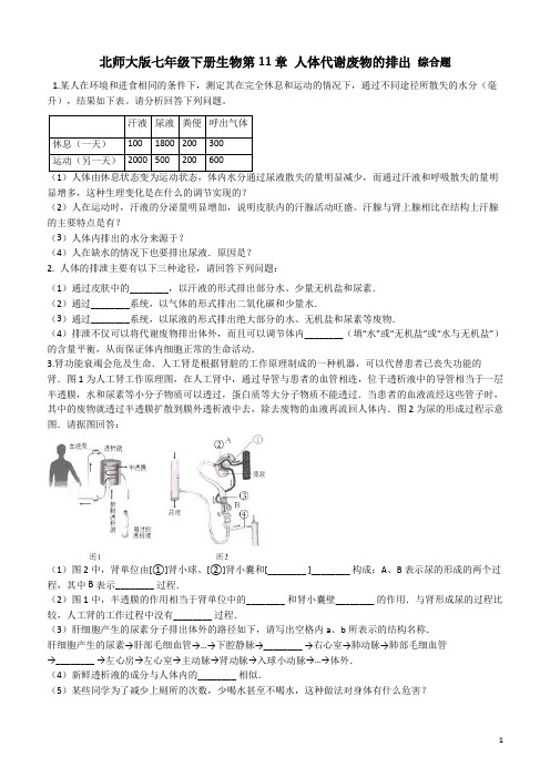 北师大版七年级下册生物第11章 人体代谢废物的排出综合题训练(WORD解析版)