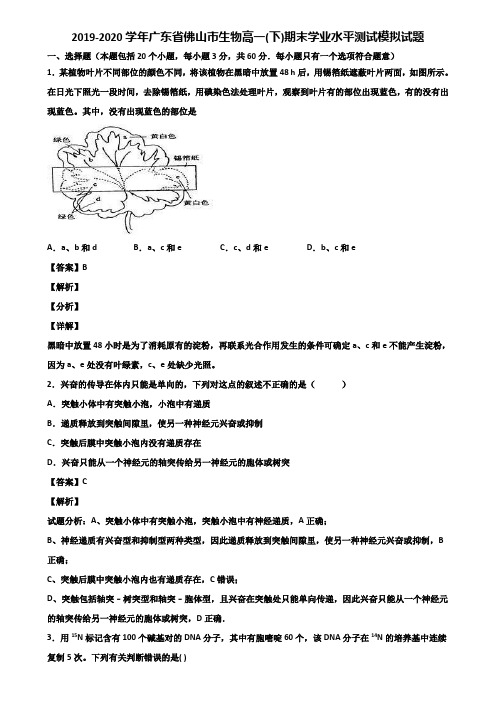 2019-2020学年广东省佛山市生物高一(下)期末学业水平测试模拟试题含解析