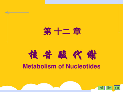 【实用】生物化学简明教程第四版第十二章 核苷酸代谢PPT文档