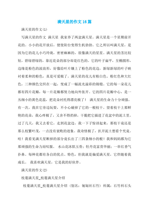 满天星的作文16篇