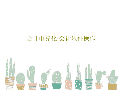 会计电算化-会计软件操作38页PPT