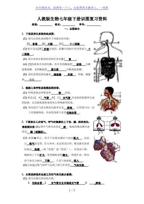 人教版生物七年级下册识图和实验复习资料(含答案)