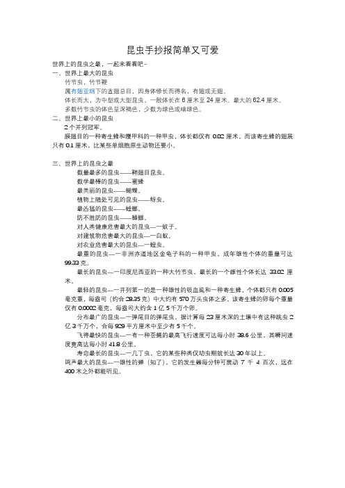 昆虫手抄报简单又可爱