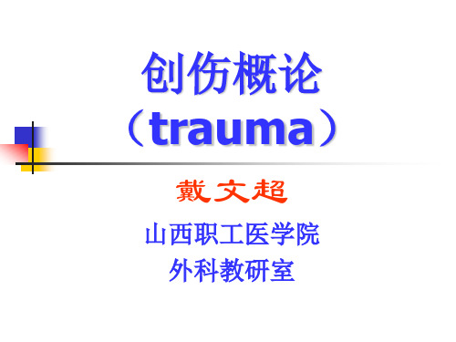 创伤概论 课件
