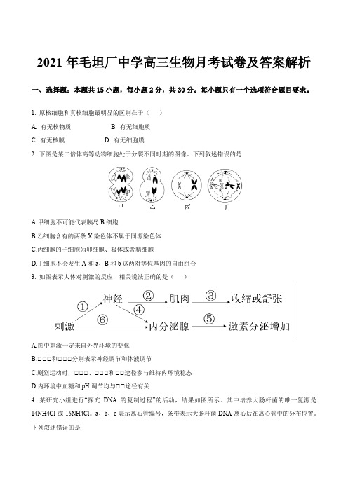 2021年毛坦厂中学高三生物月考试卷及答案解析