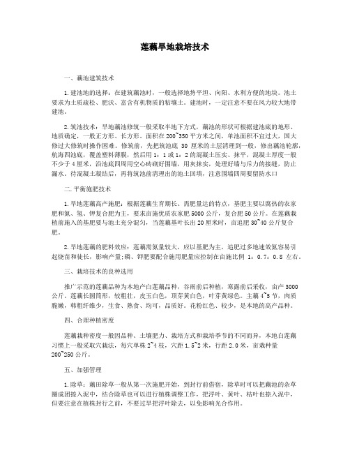 莲藕旱地栽培技术