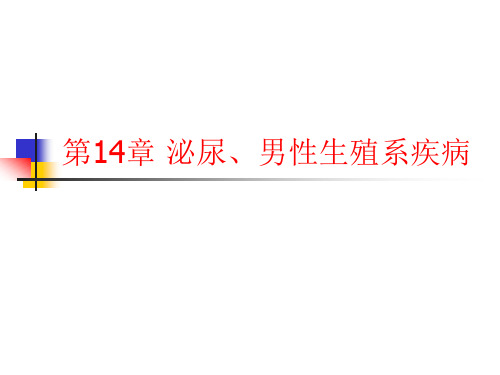 第14章 泌尿、男性高职高专《外科学》(第二版)ppt课件