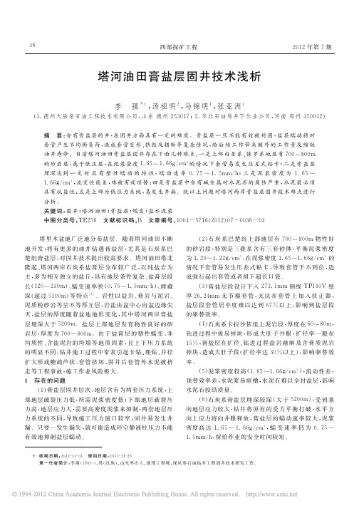 塔河油田膏盐层固井技术浅析