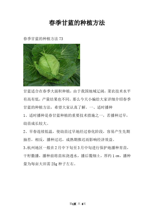 春季甘蓝的种植方法