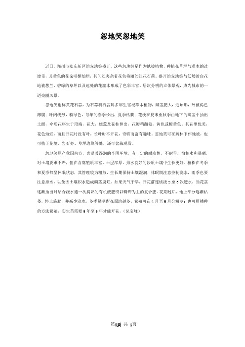 忽地笑忽地笑