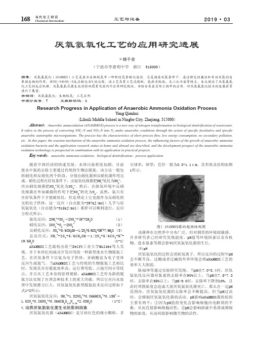 厌氧氨氧化工艺的应用研究进展