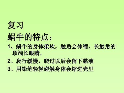 《蜗牛(二)》PPT课件教科版小学1