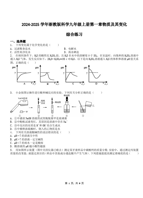 2024-2025学年浙教版科学九年级上册第一章物质及其变化 综合练习(含答案)