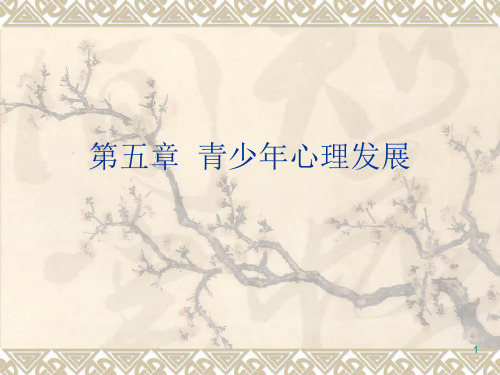 第五章-青少年心理发展ppt课件