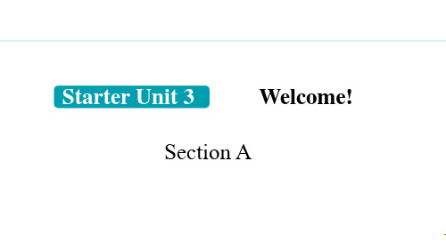 1.  2024新教材七年级上册新英语Section A