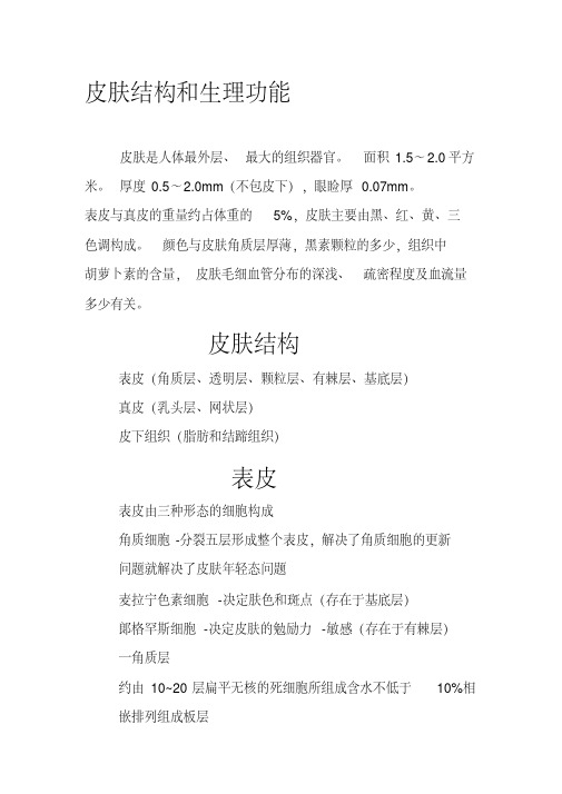皮肤的结构与护理