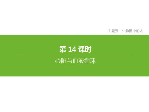 北京中考生物总复习专题五生物圈中的人第14课时心脏与血液循环课件