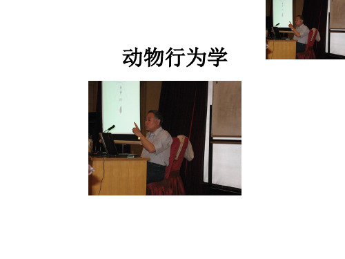 动物行为学