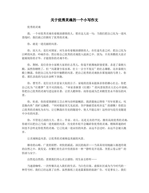 关于优秀灵魂的一个小写作文