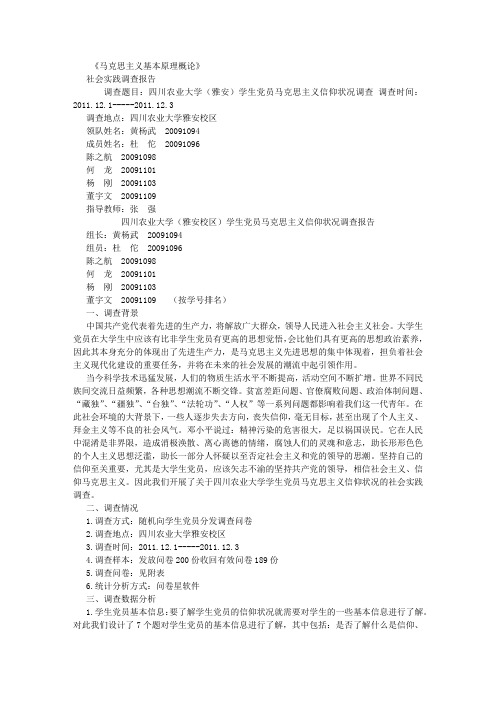 马哲调查报告 (3000字)