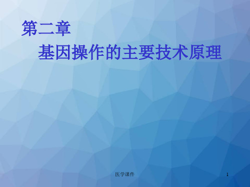 PCR原理  ppt课件