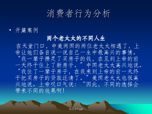 《消费者行为分析》PPT课件