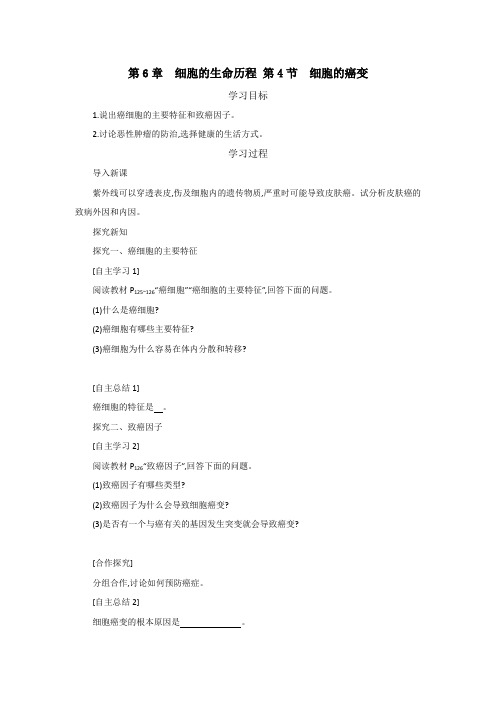 人教版高中生物必修1 6.4细胞的癌变 学案2