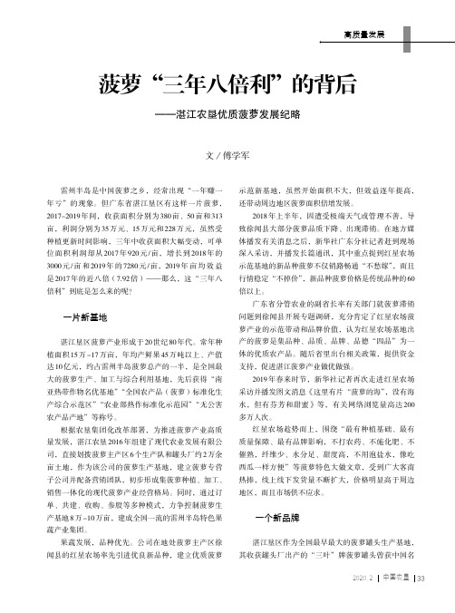 菠萝“三年八倍利”的背后——湛江农垦优质菠萝发展纪略