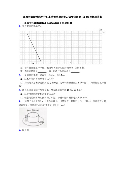 北师大版新精选小升初小学数学期末复习试卷应用题(40题)及解析答案