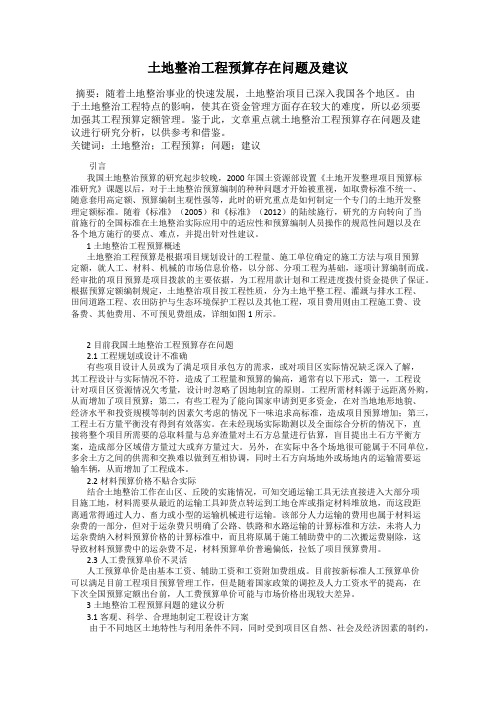 土地整治工程预算存在问题及建议