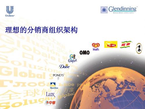 联合利华- 06理想的分销商组织架构-0802