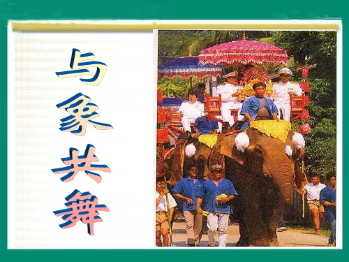 与象共舞精选课件PPT