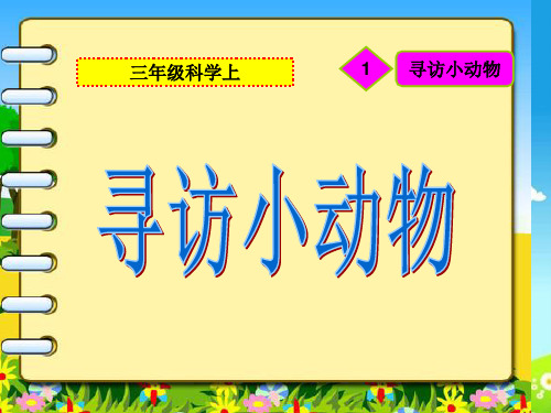 《寻访小动物》PPT课件教科版小学1