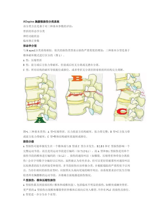 AOspine胸腰椎损伤分类系统