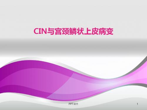 CIN与宫颈鳞状上皮病变  ppt课件