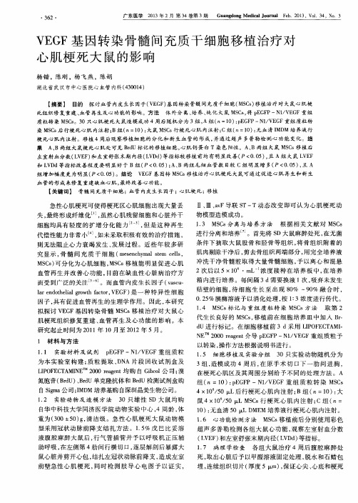 VEGF基因转染骨髓间充质干细胞移植治疗对心肌梗死大鼠的影响