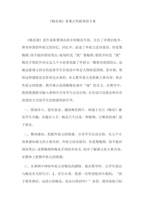 梅花魂难点突破