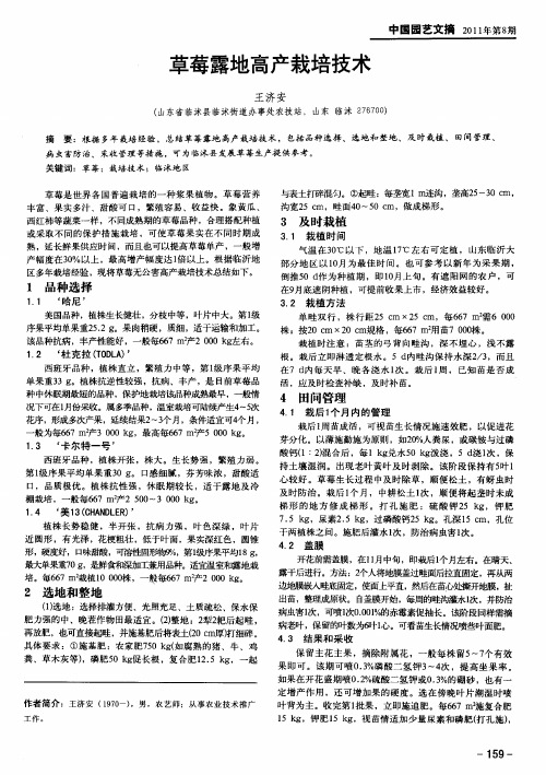 草莓露地高产栽培技术
