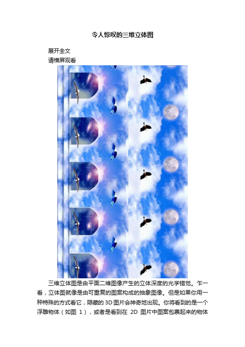 令人惊叹的三维立体图