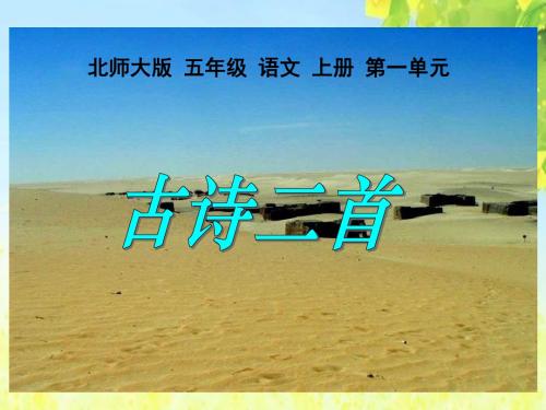 北师大版第九册语文《房兵曹胡马》PPT优质课课件PPT、优质教学课件