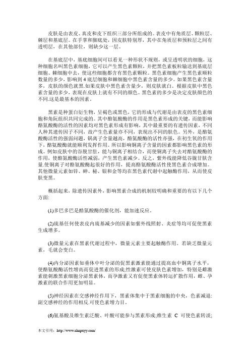 皮肤的颜色是由什么决定的